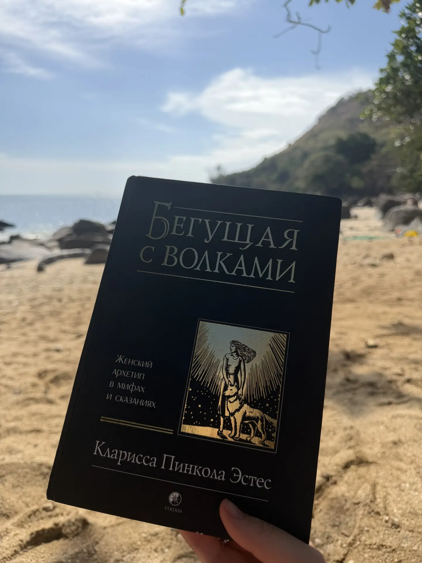 Есть книги, к которым потом хочется возвращаться снова и снова.

Для меня такой книгой стала «Бегуща