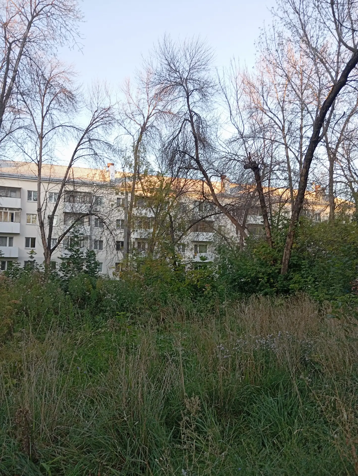 ул. Победы, дом 😔 напротив " Подгорного", трава в рост человека.. а над детской площад...
