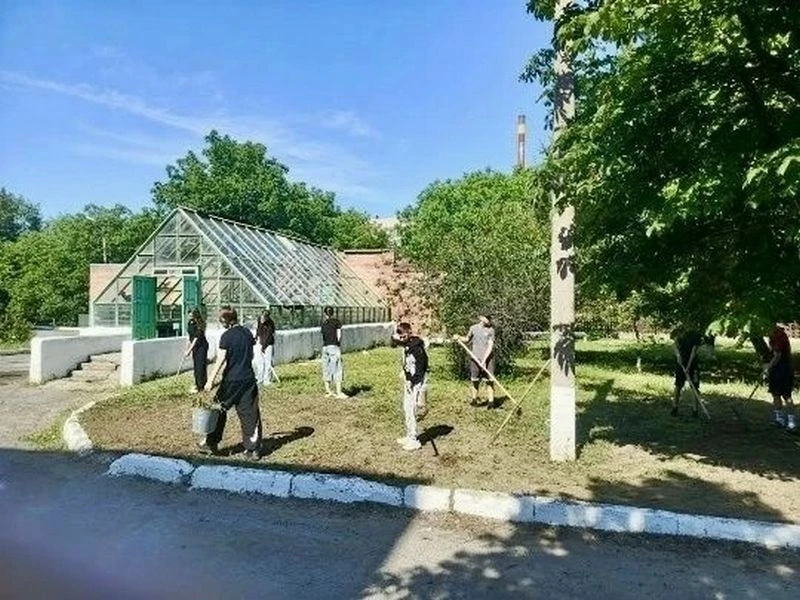 Летом на Дону работу получили почти 10 тысяч школьников