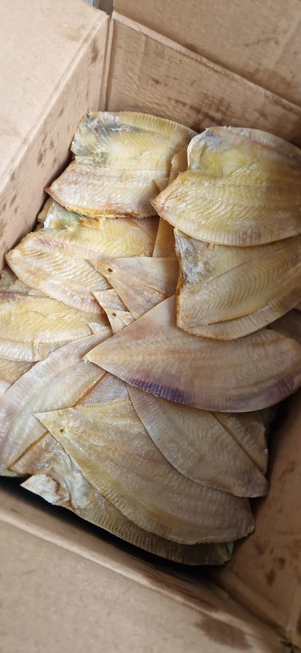 😋 Ассортимент камбалы