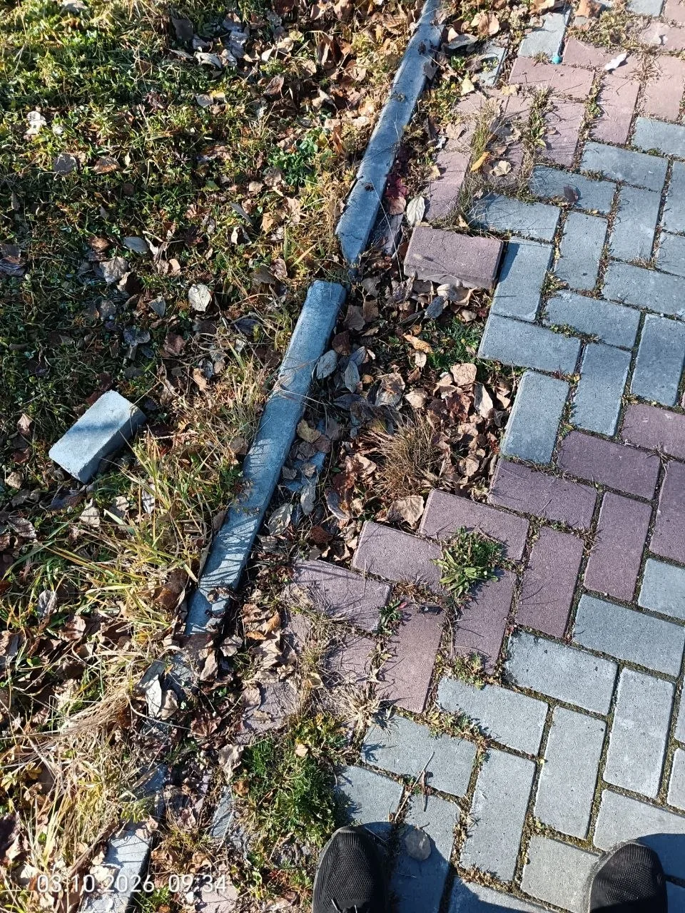 В начале июля мы обратили внимание на разрушающиеся и исчезающие плиты на дорожке, веду...