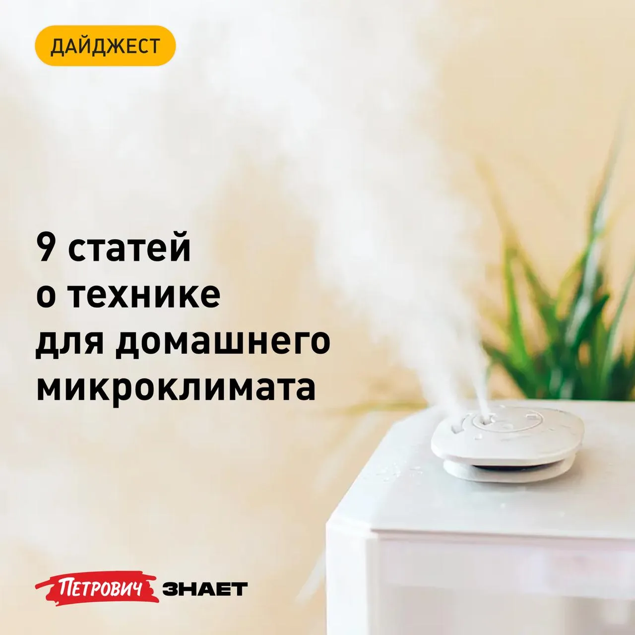 Чистый и оптимально влажный воздух в доме — залог хорошего самочувствия и здоровья всей...