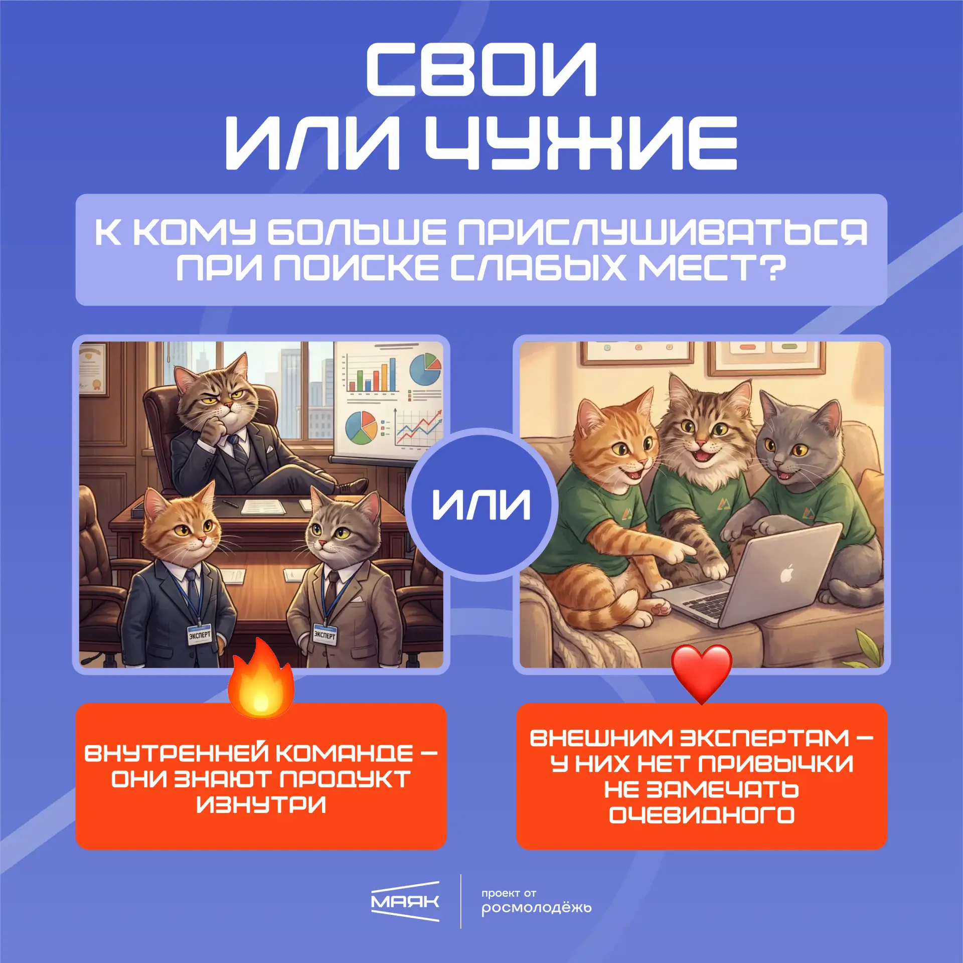 Продолжаем рубрику #МаякВыбирает ⚡️
