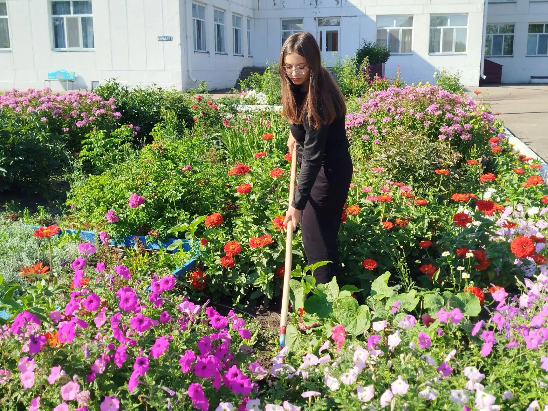 Цветочный батл: кто вырастит самую красивую клумбу? 🌸