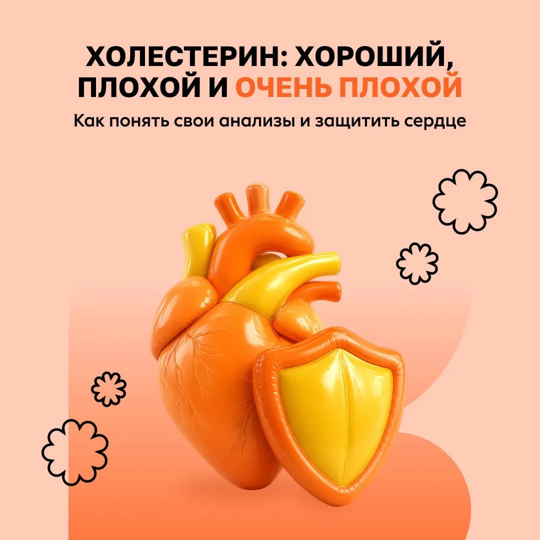 Холестерин: хороший, плохой и очень плохой 🛑

Холестерин часто считают главным врагом нашего сердца