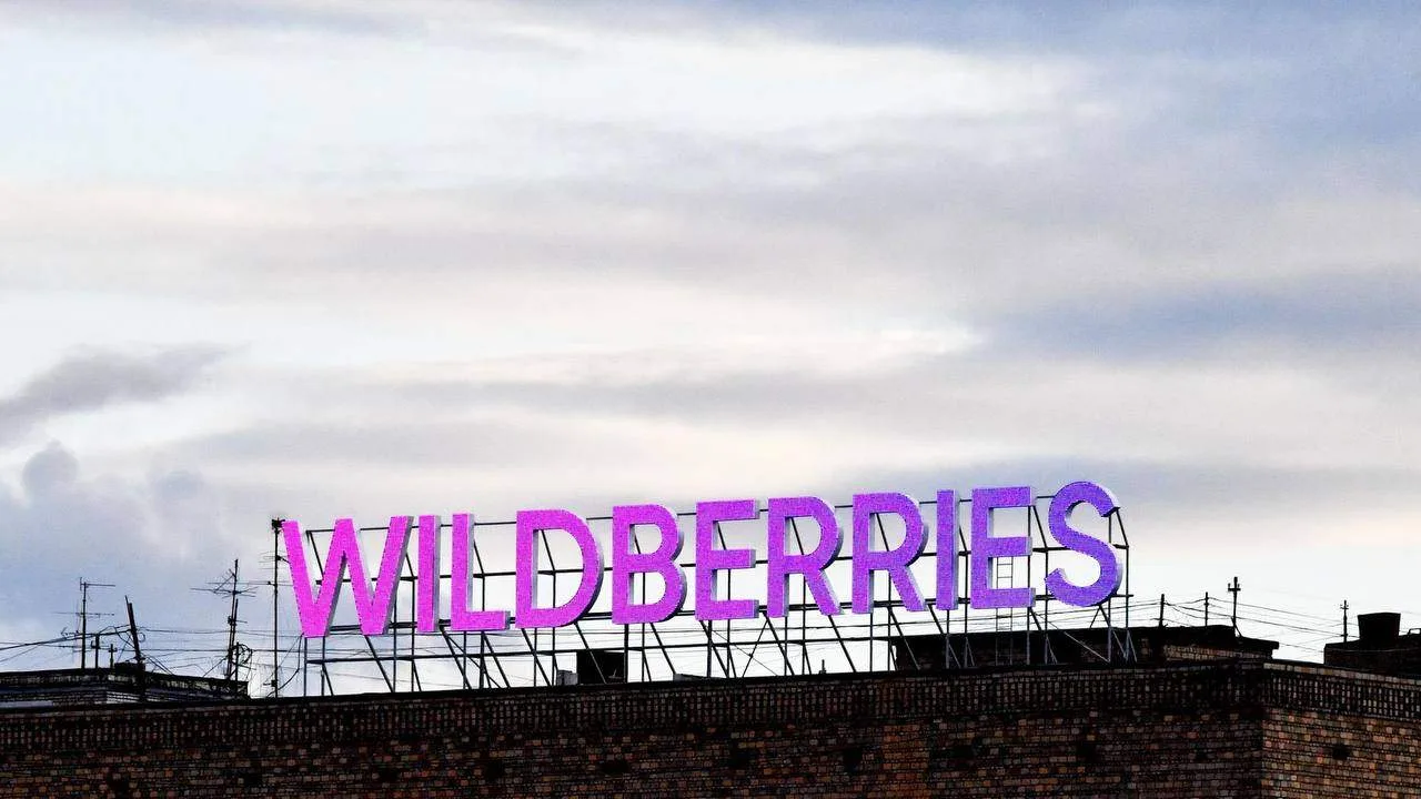 Жалобы на Wildberries дошли до премьер-министра Мишустина: 95,6% селлеров не получили д...