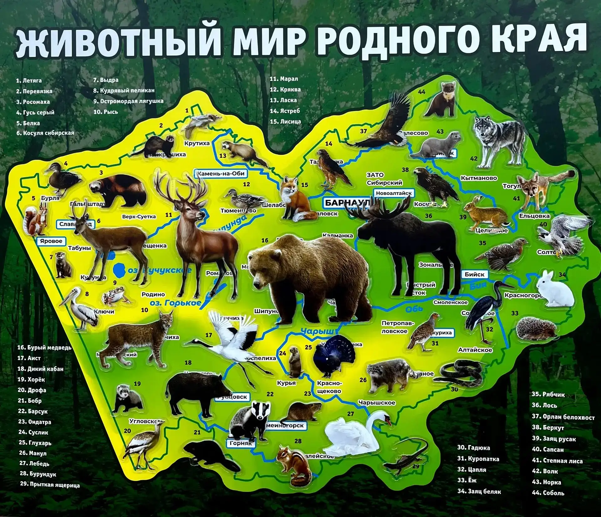 У нас есть большой выбор карт Алтайского края со съемными магнитными элементами💚💛🧡