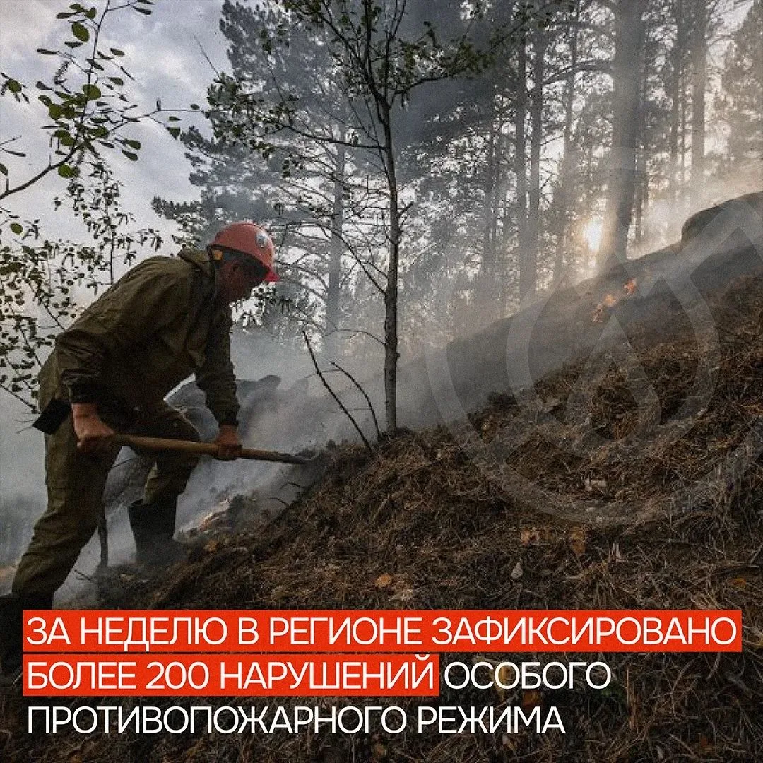 🚫🔥 Сжигание мусора и сухой травы – самые частые нарушения особого противопожарного ре...