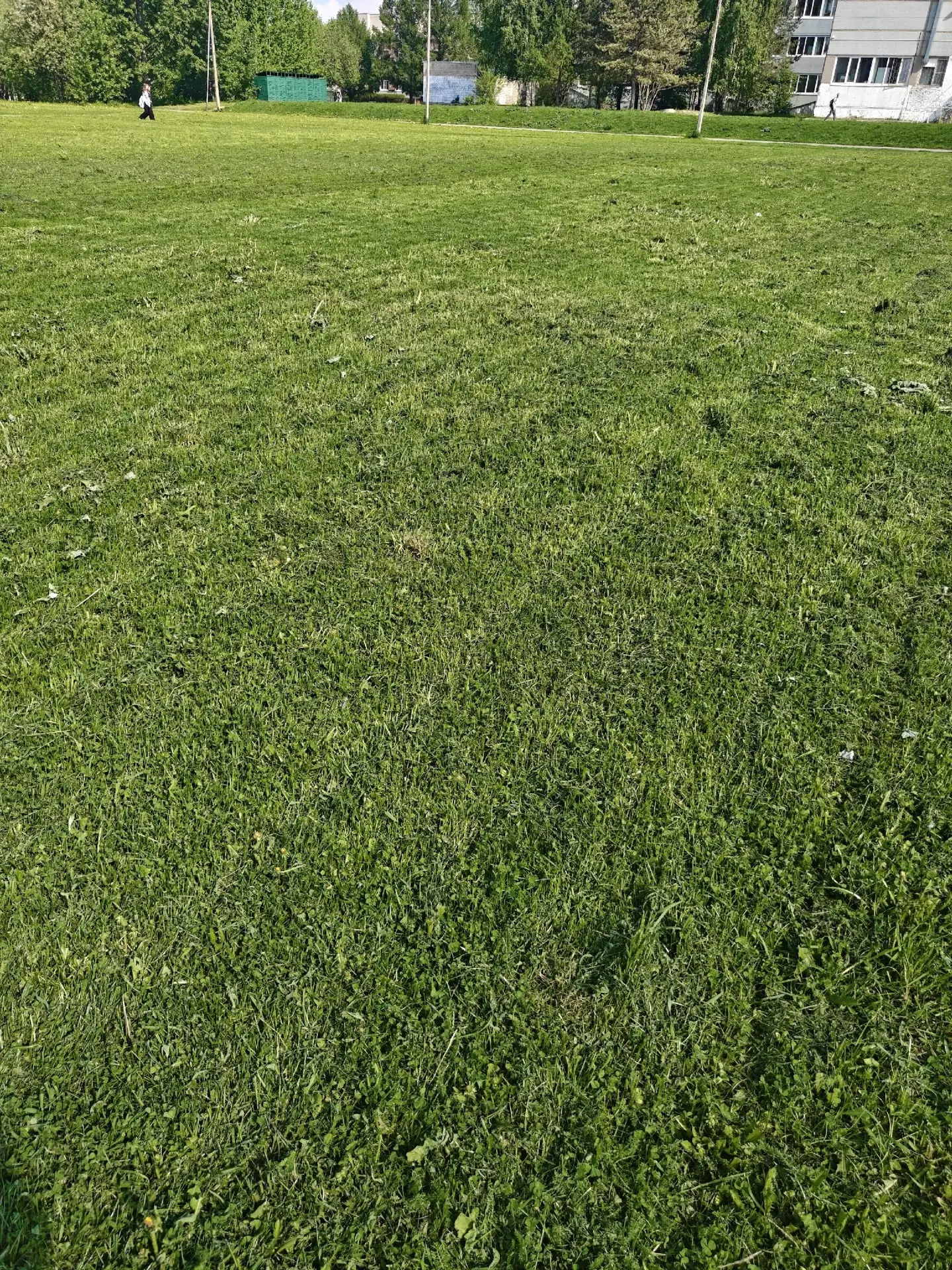 🌱🌱🌱БОЛЬШЕ 2 ГЕКТАРОВ ПРИШКОЛЬНОЙ ТЕРРИТОРИИ ПРИВЕДЕНЫ В ПОРЯДОК  💚 Работники школы приступили к поко