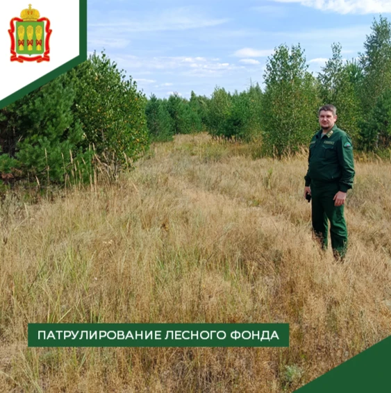 Лесные инспекторы Пензенской области активно патрулируют территории лесного фонда. За н...