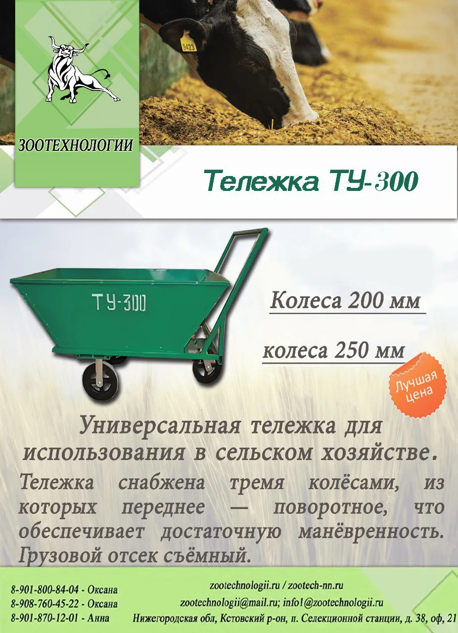🛒 Универсальная тележка ТУ‑300: поворотное колесо, съёмный отсек, колёса 200–250 мм

Коллеги, перев