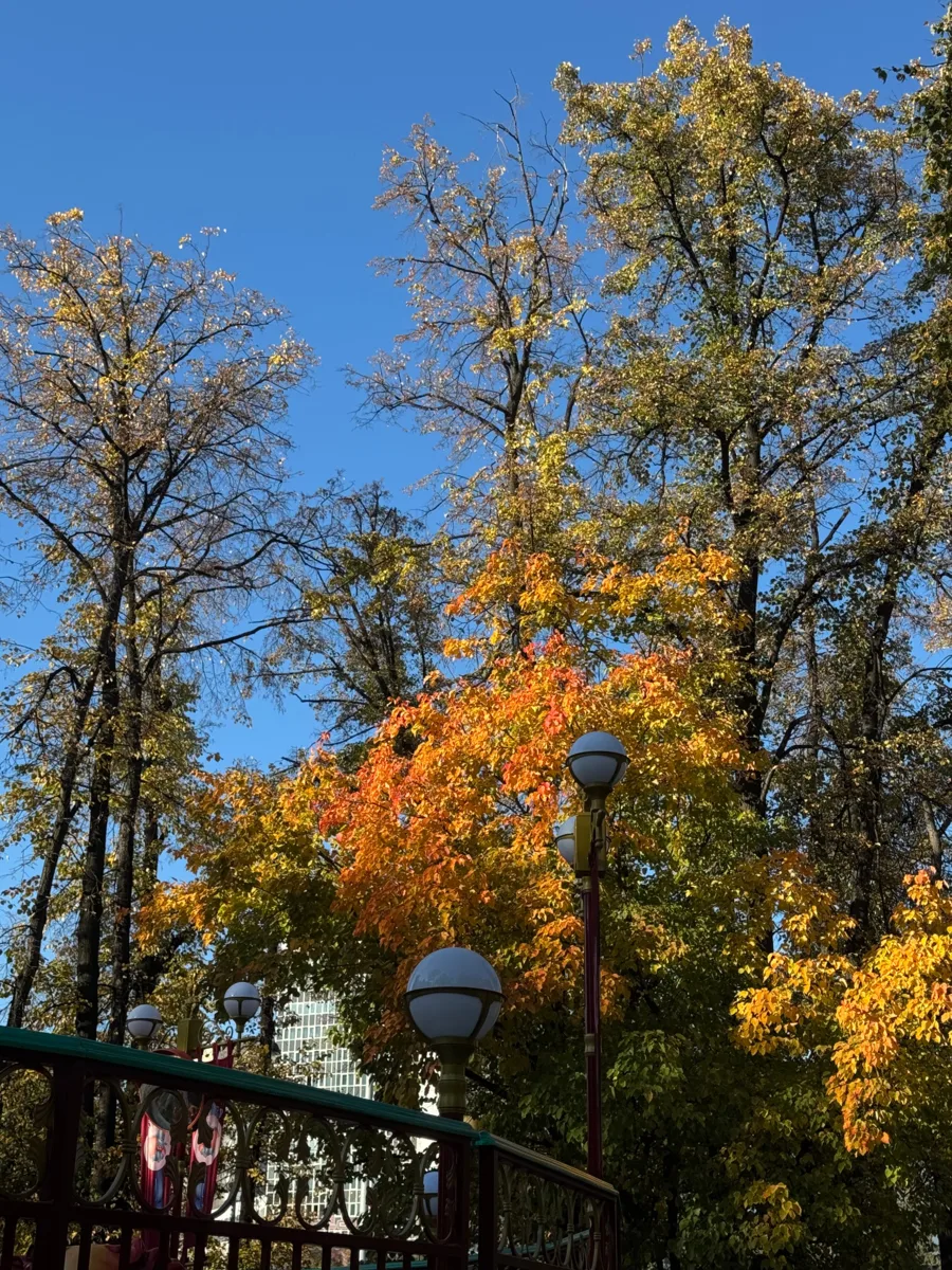 Октябрь нашел идеальный оттенок 🍂