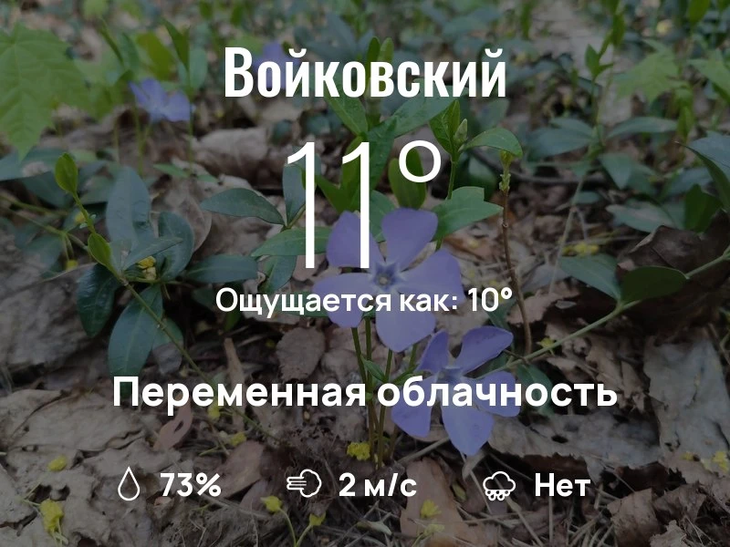 Что с погодой в Войковском?