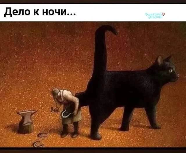 Ночное