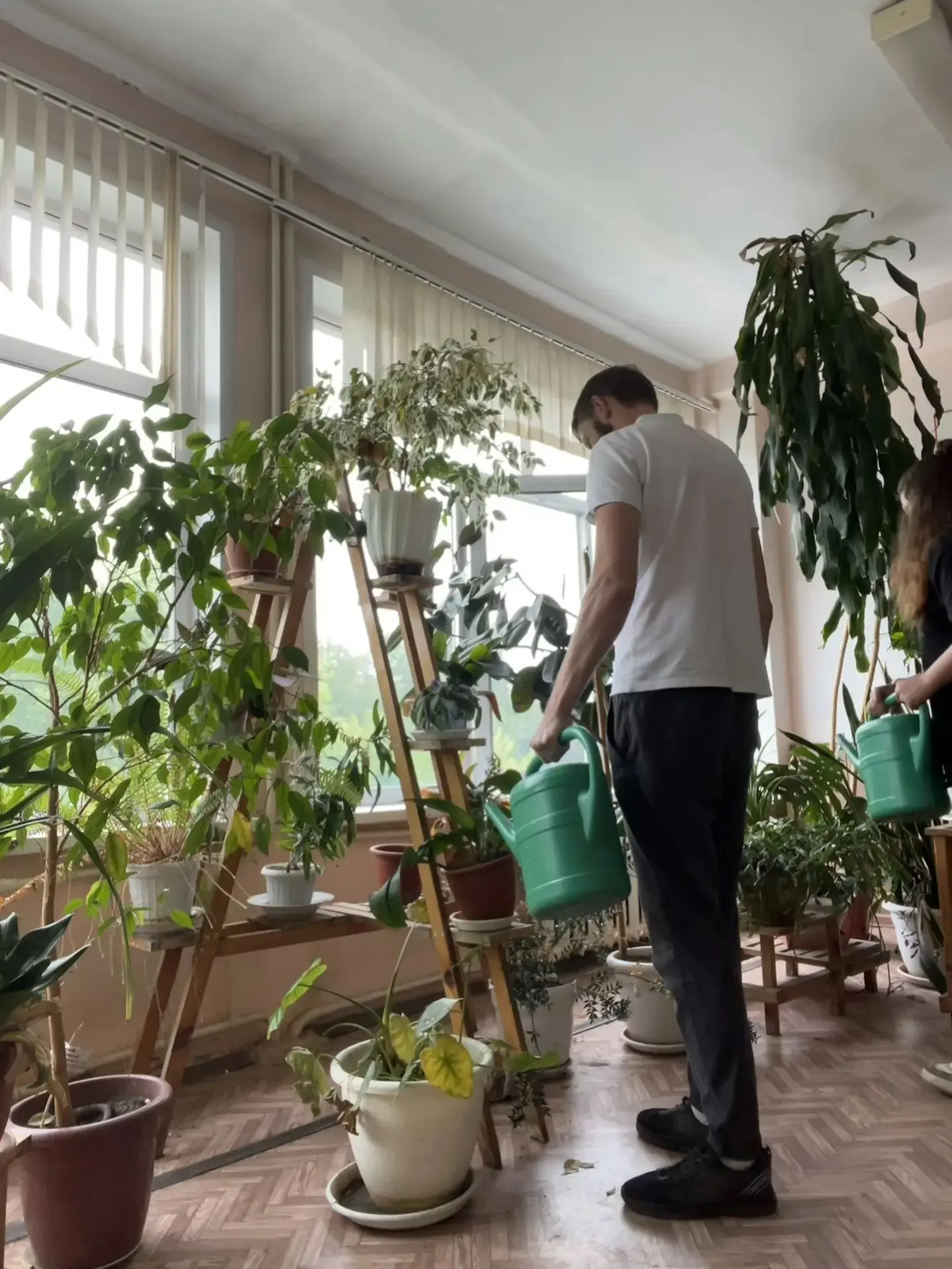 🌿 «Зелёный уголок» — место, где природа встречается с учёбой

В здании школы появилось пространство