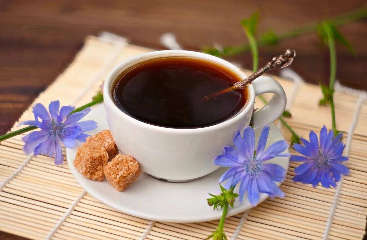 Цикорий полезен для нервной и сердечно-сосудистой системы ☕️  🔥Напиток из корня цикория, как заменит