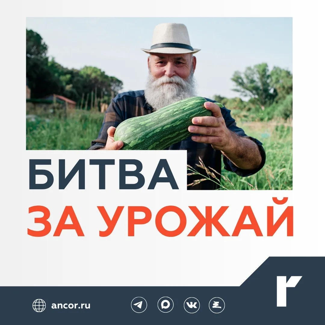 🌾 Спрос на сезонную подработку в АПК растет