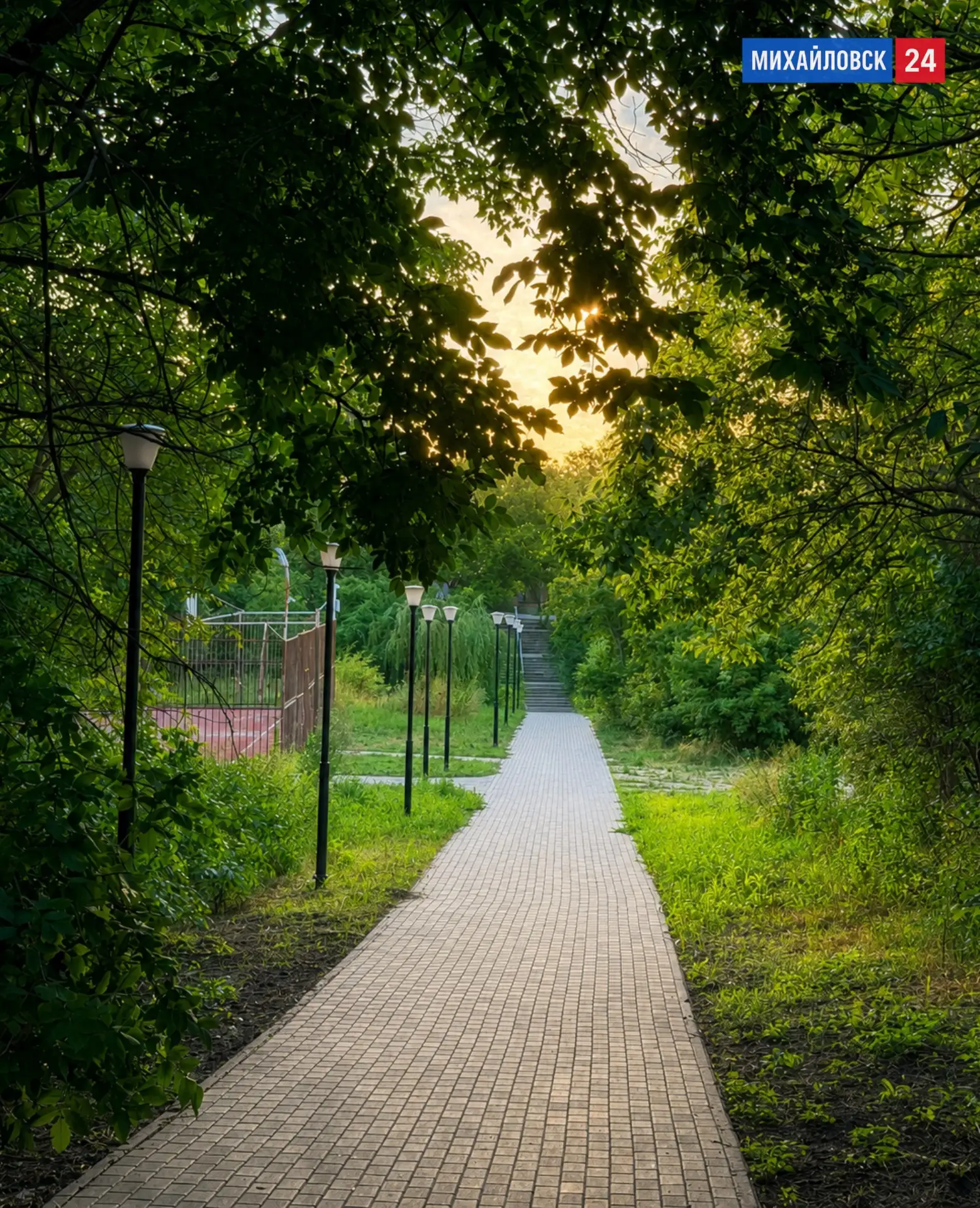 🌳 Спуск с улицы Кирова на БАМ утопает в летней зелени

— — —
🔔 Новости Михайловска
👉 Подпишись @m