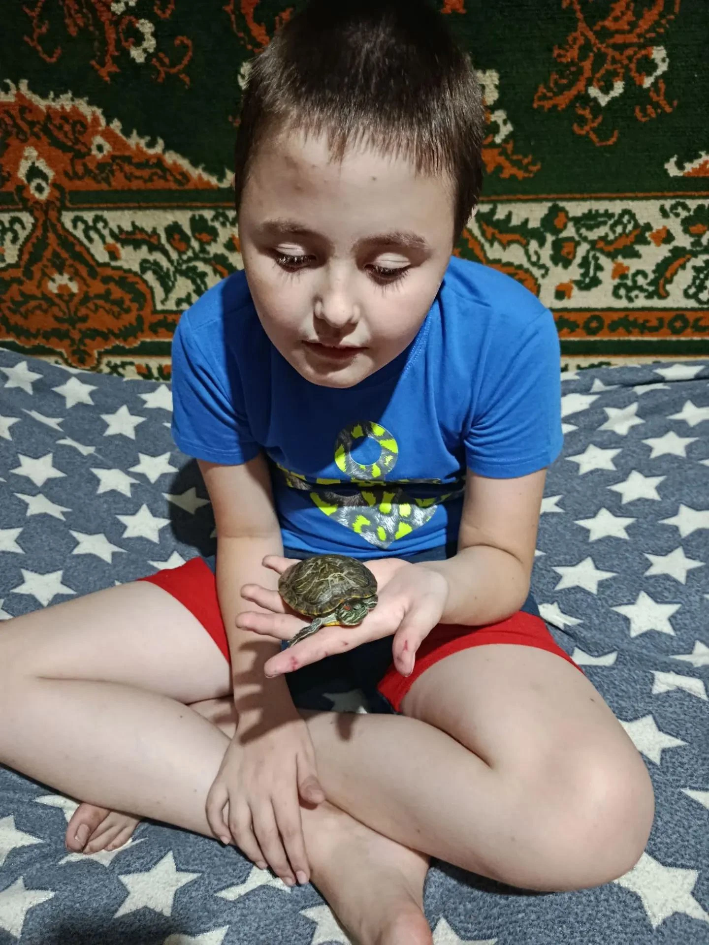 У меня уже 2 года живет черепашка Манюня. С желанием ухаживаю за ней- для меня это
