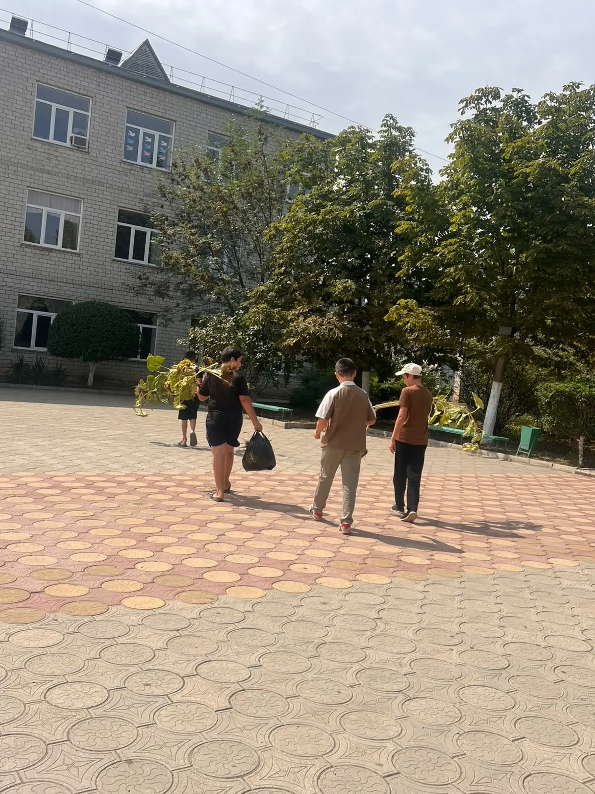 Летняя трудовая практика организуется для школьников 5-8,10 классов в  период летних ка...