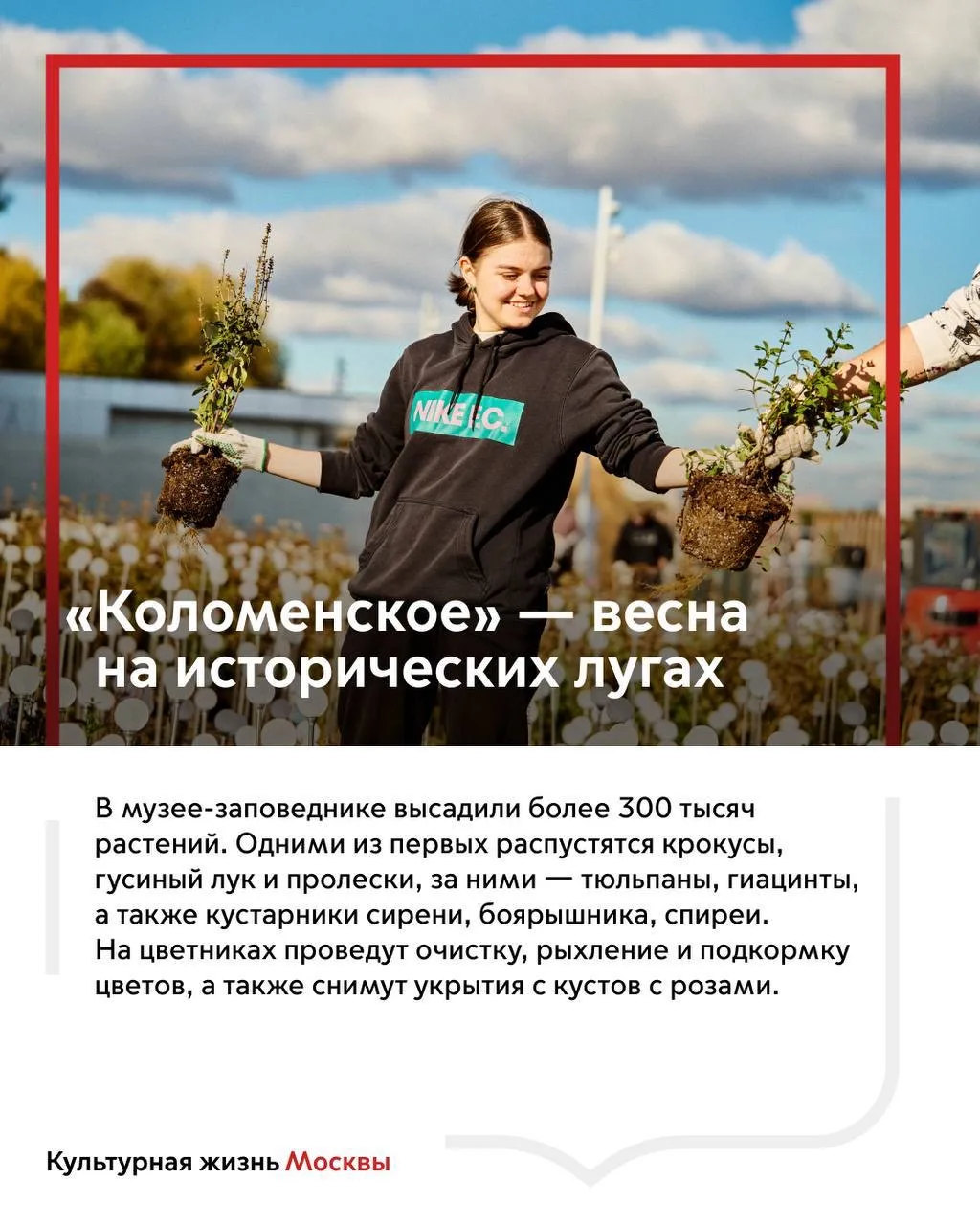 Настоящая весна — в пути: около 800 тысяч цветов распустятся в парках города  Подготовка к весеннему