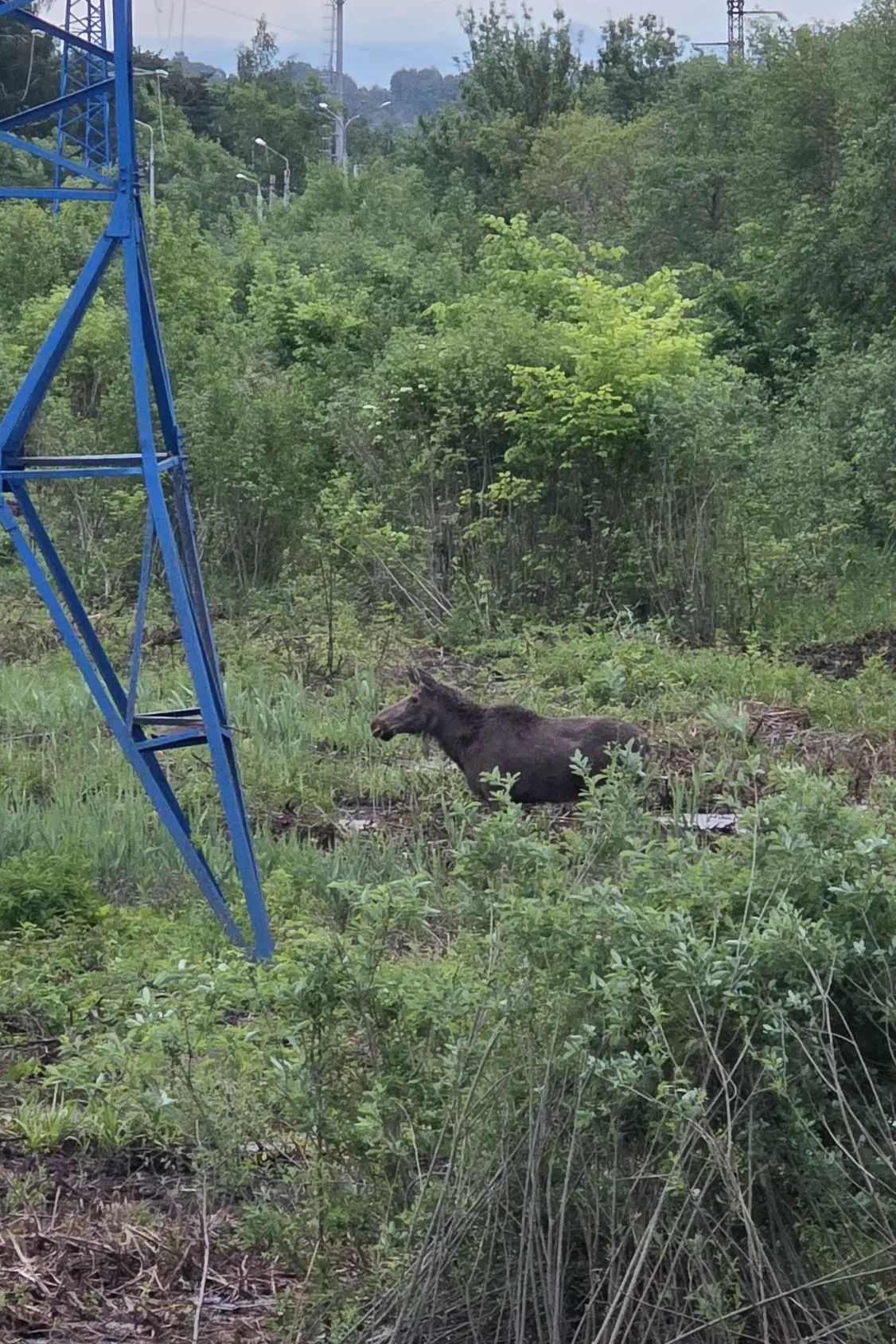 Какого интересного товарища тут встретил ❤️