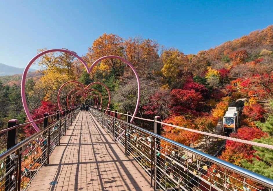 Ботанический сад Хвадам в Кванджу, Южная Корея 🇰🇷  🔹 Ботанический сад Хвадам расположен в городе Ква