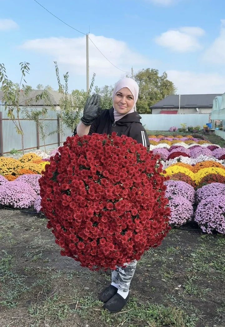 ⚡️ Девочки, сегодня поймала себя на мысли, что почти каждая вторая моя подруга сейчас г...