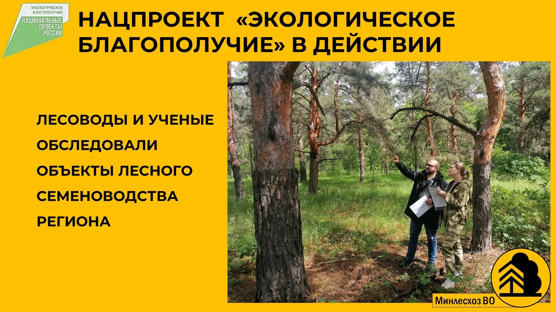 🌲🌳🔍Специалисты министерства лесного хозяйства Воронежской области совместно с ученым...