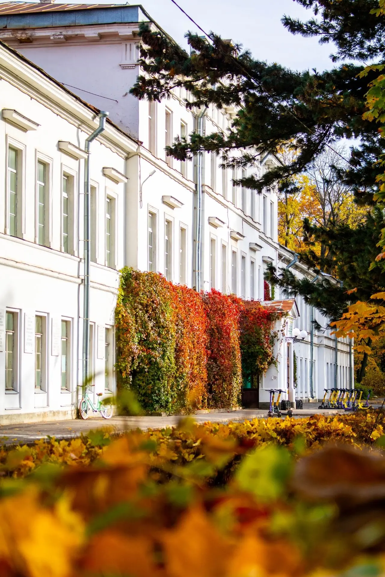 Лето почти закончилось. Но грустить не будем 🍂
