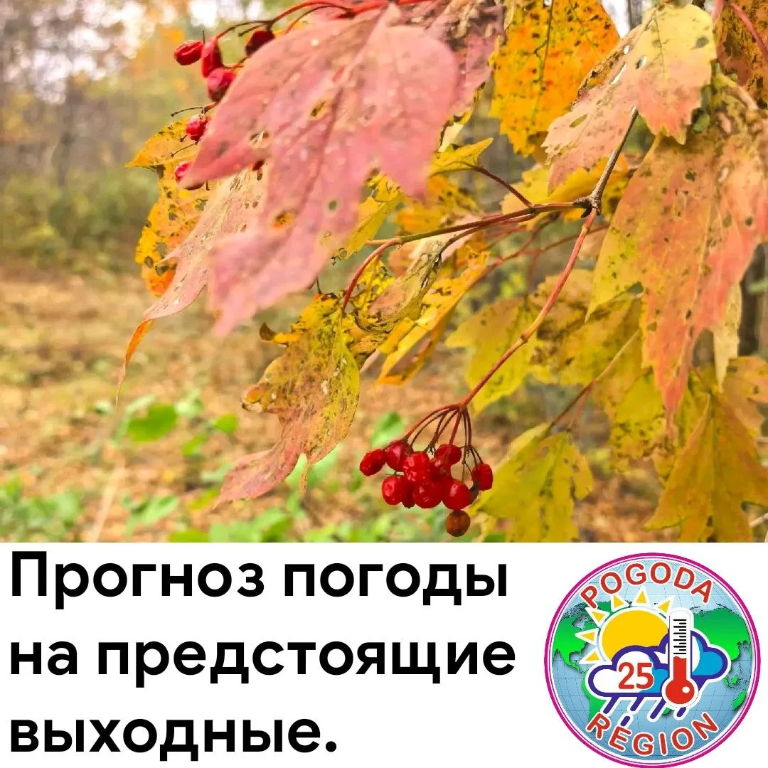 В предстоящие сутки 3.10 край будет находится в зоне действия антициклона, будет преобл...