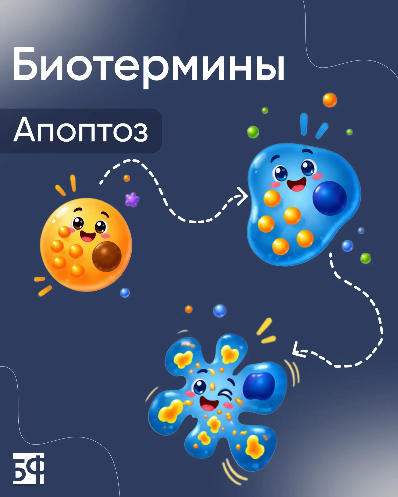 🧬 Загадочный язык жизни

Биология — это не просто школьный предмет, а настоящий язык, на котором го