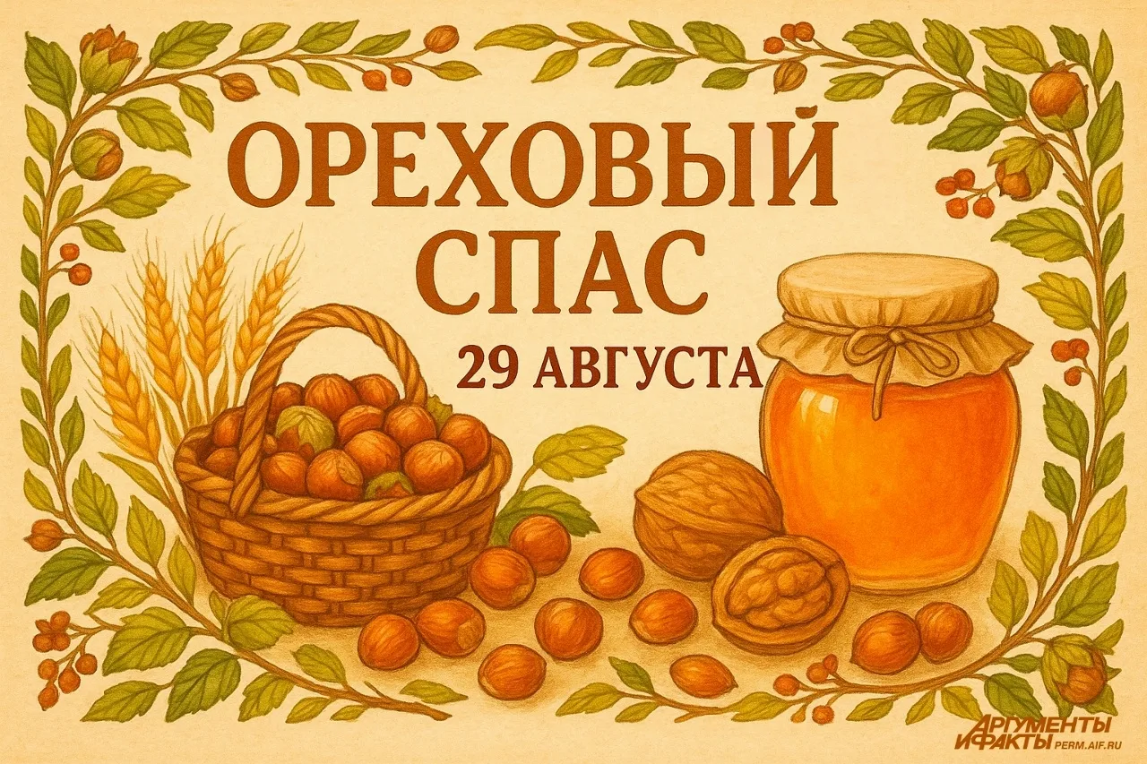 Орехи полезны для организма благодаря своему составу. Они содержат незаменимые аминокис...