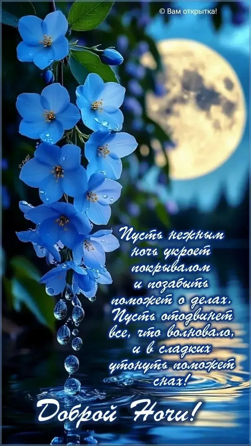 ДОБРОЙ НОЧИ 🌙🌌