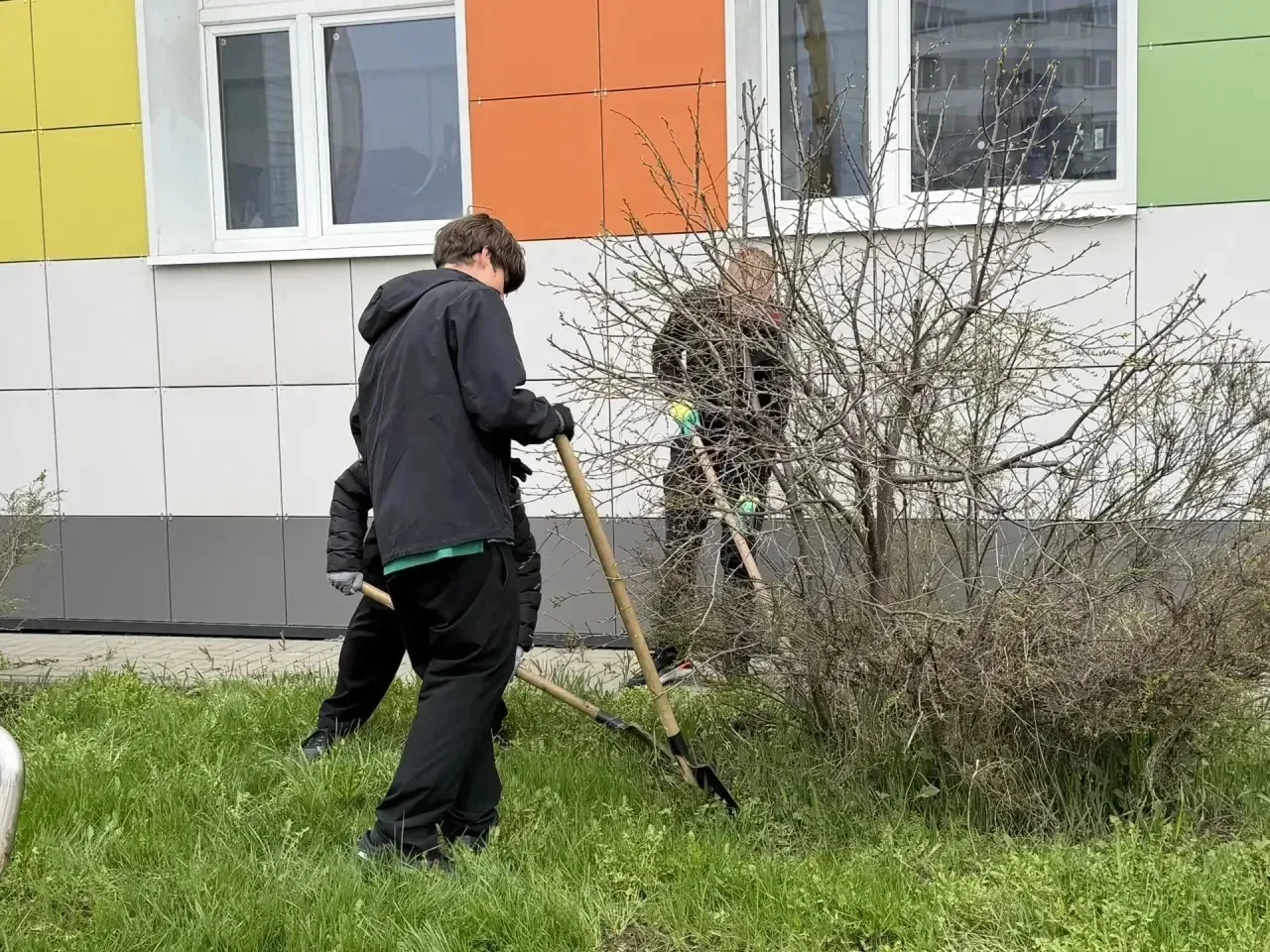 🌱 В МАОУ «Видновская гимназия» состоялся ежегодный весенний субботник, в котором активное участие пр