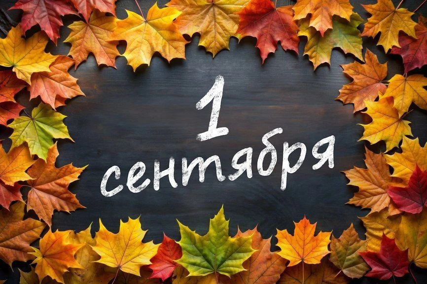 🔊 ✨ ВАЖНОЕ ОБЪЯВЛЕНИЕ ✨ 🔊