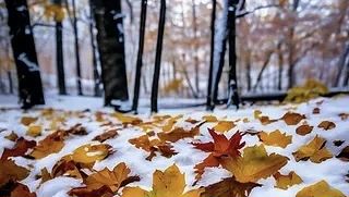 🥶 В Башкирию идёт снег