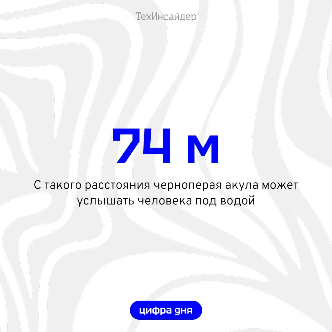 #цифра_дня