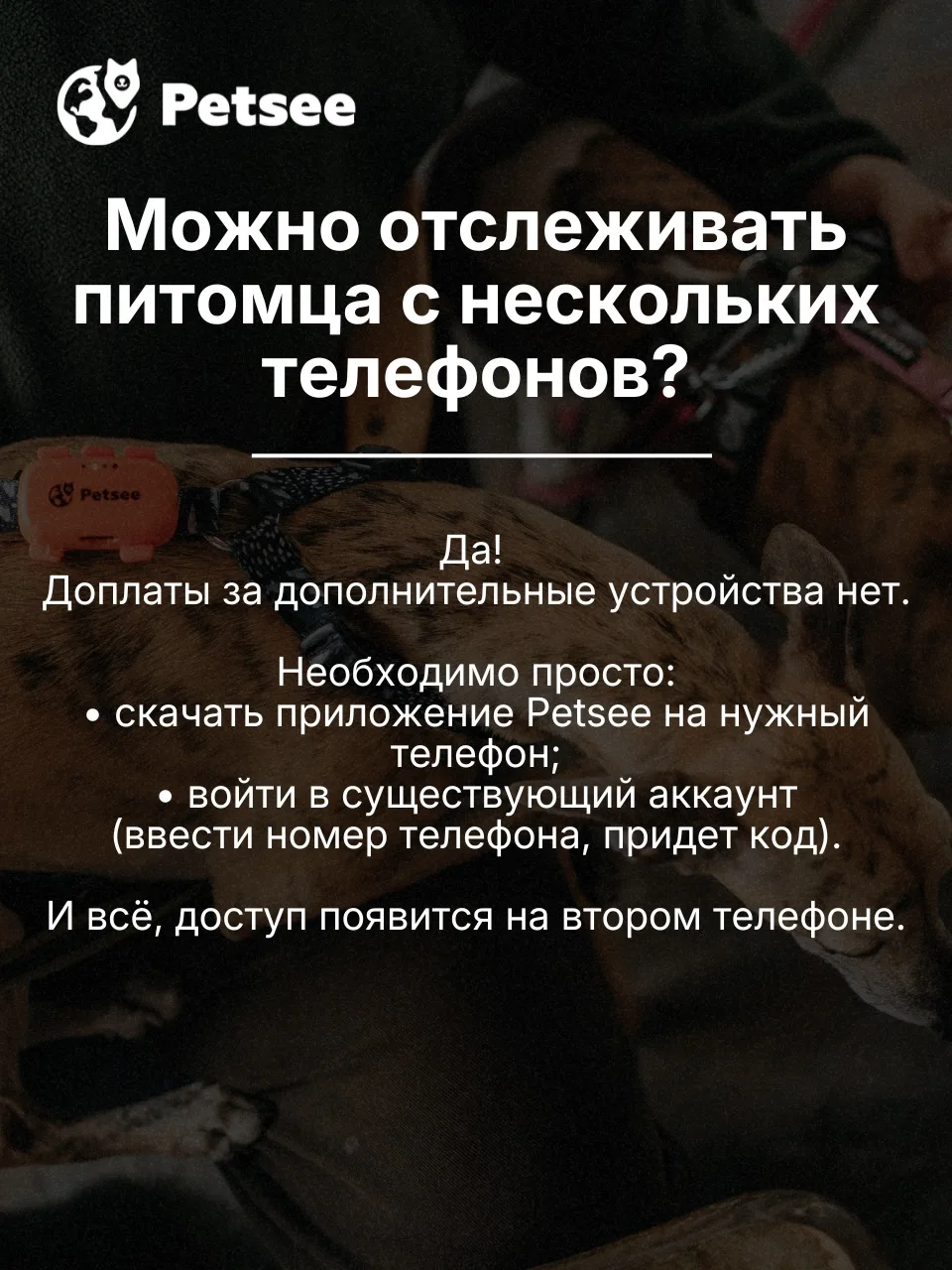 Собрали самые частые вопросы в одном месте, чтобы не искать ответы по всему каналу!