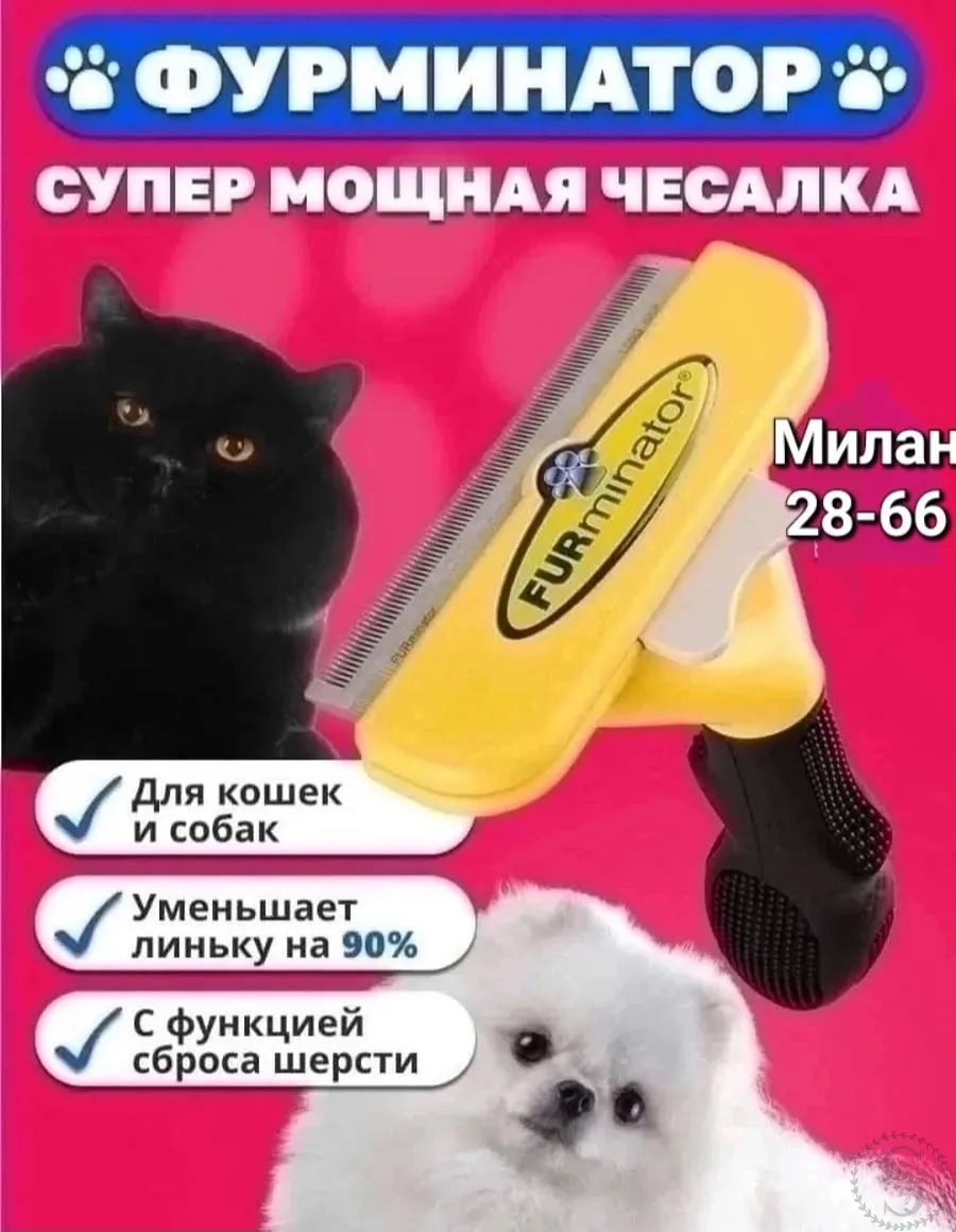 https://vk.com/photo-184814919_493036960
