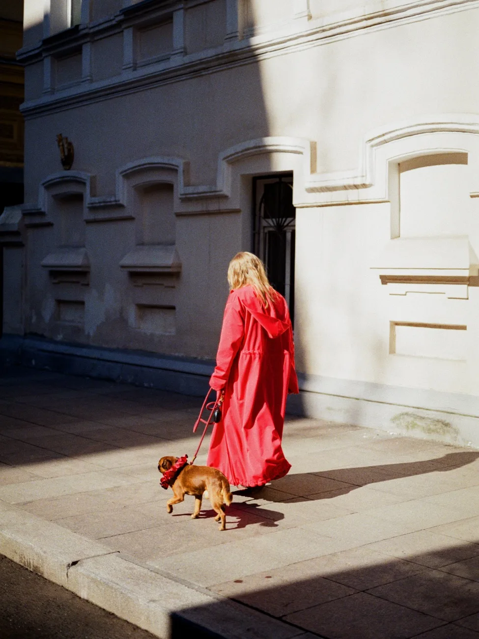 Милота дня — Le Pompon выпустили первую новинку для питомцев 🐕

Это вот такой ошейник-воротник для 