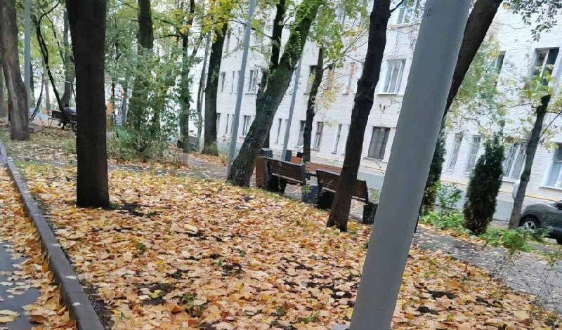 🧹 В Лефортово жители жалуются на неубранную листву