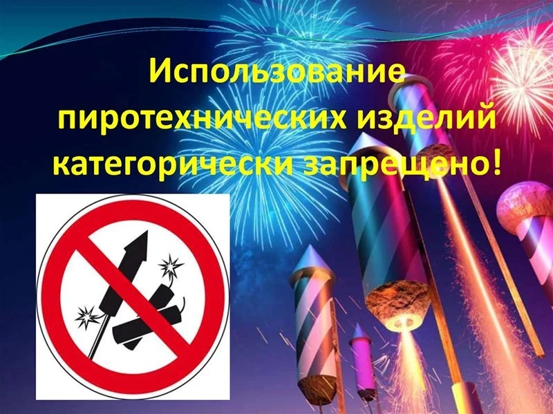 В преддверии новогодних праздников напоминаем жителям Ростовской области о действии огр...