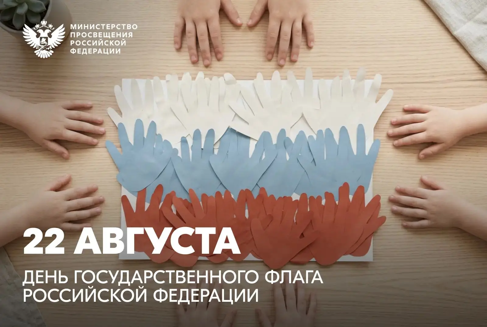 Поздравление Министра просвещения РФ с Днём государственного флага 🇷🇺