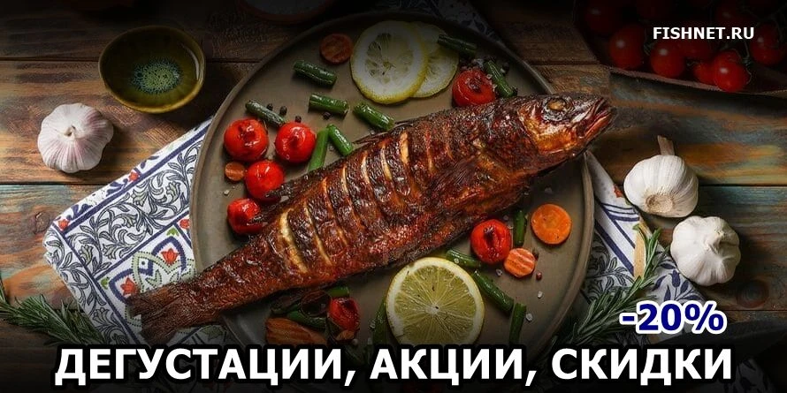 🐟 Дорадо и сибаса предложат со скидкой на рыбных рынках «Москва — на волне»