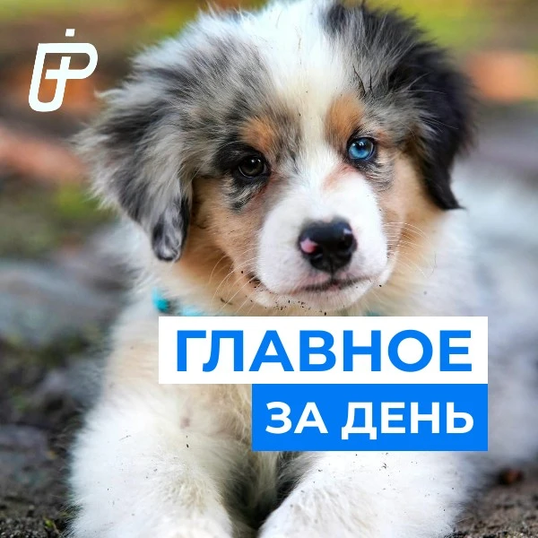 📌 Главное за день— 28 августа 2026