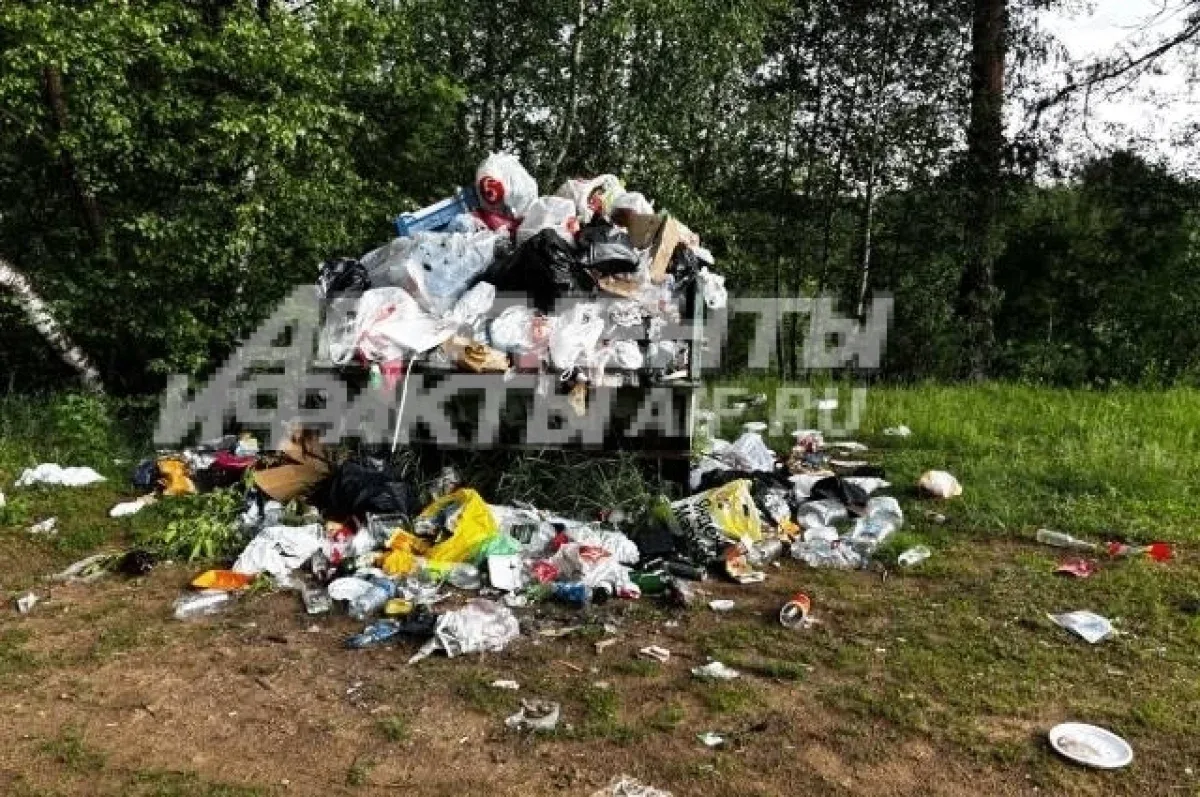 🍂 Субботник в Первомайской роще: вместе наведём порядок!