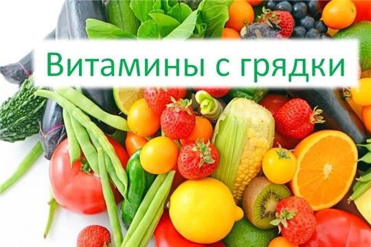 Летом наш организм особенно нуждается в витаминах, чтобы справиться с жарой, активным образом жизни 