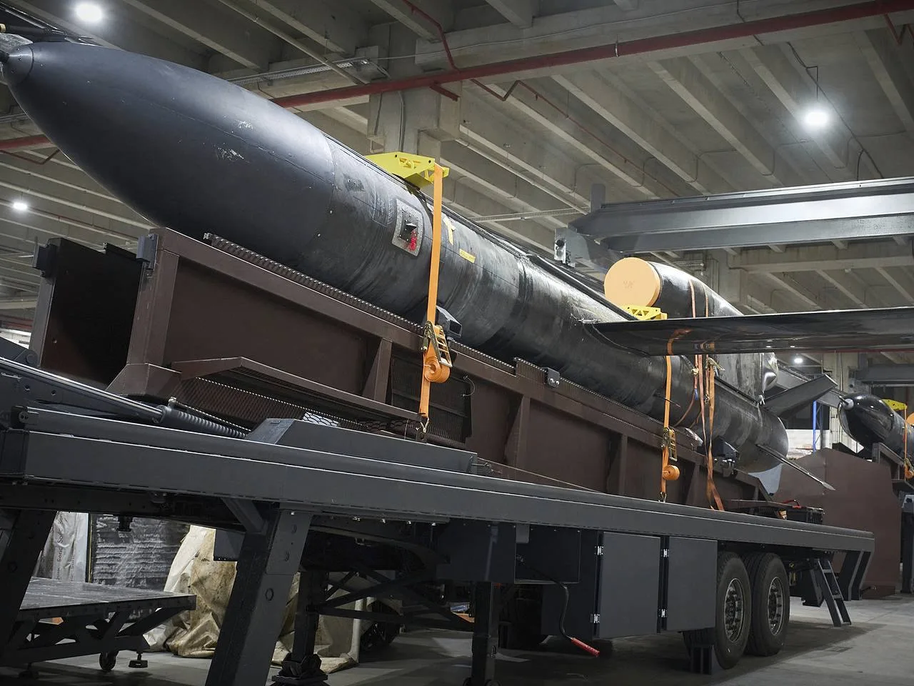 Немецкая компания Diehl Defence планирует участвовать в производстве украинских ракет «Фламинго» и м