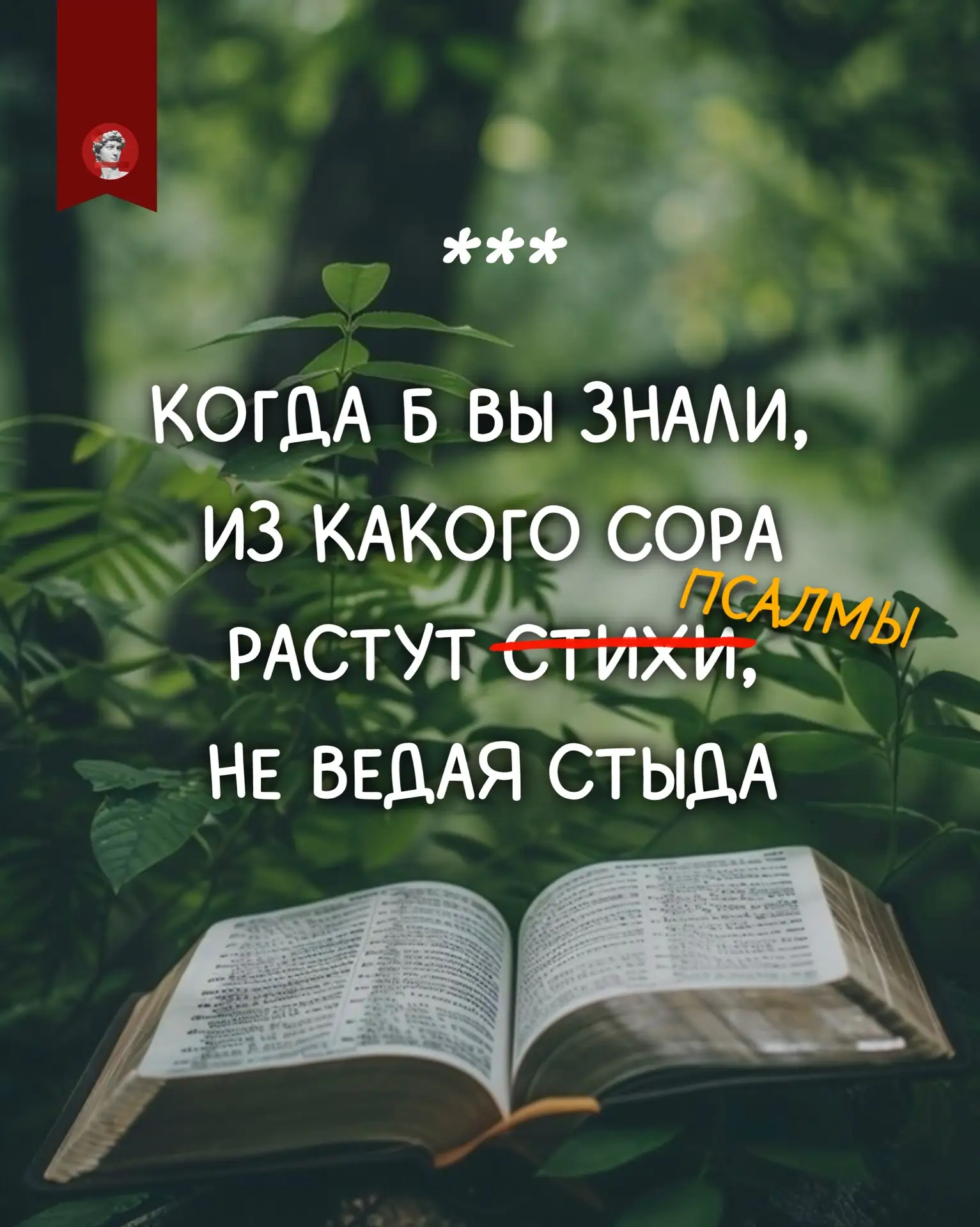 📖 Самая мощная поэтическая книга всех времен и народов в колонке от Константина Мацана — кандидата 